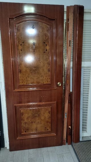 Puerta blindada con panel raíz