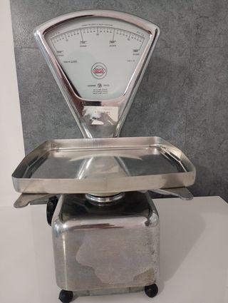 Bilancia professionale ARSA Max 3 kg acciaio