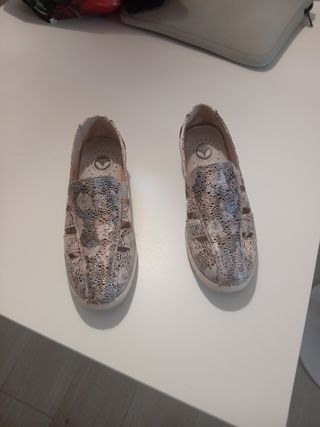 Zapatos Multicolor y Plateados