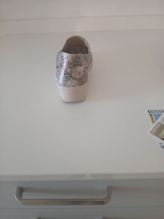 Zapatos Multicolor y Plateados