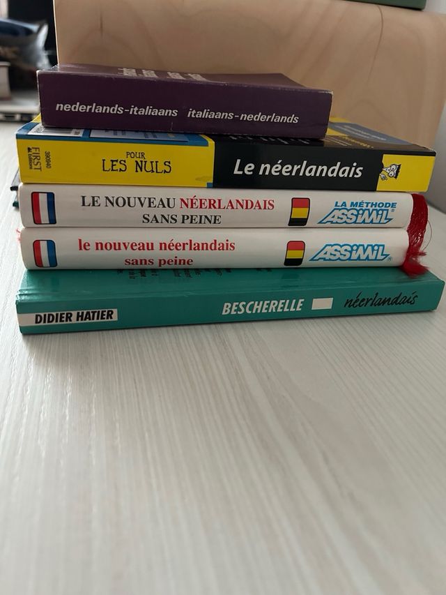libri in francese l’olandese-fiammingo