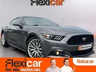 Ford Mustang 2.3 EcoBoost 231kW Mustang Aut. (Fastb.)
