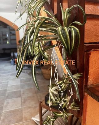 Casa rural en venta en Maçanet de la Selva en Maçanet de la Selva
