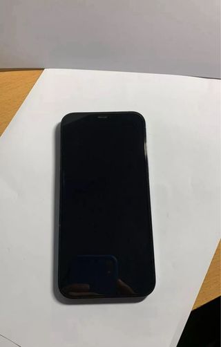 iPhone 12 Pro Max 256 GB blu