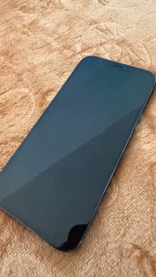 iPhone 12 Pro Max blu