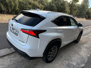 Lexus NX300h, 4WD, Cuero, revisiones en Lexus 