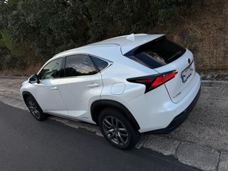 Lexus NX300h, 4WD, Cuero, revisiones en Lexus 