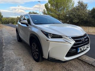 Lexus NX300h, 4WD, Cuero, revisiones en Lexus 