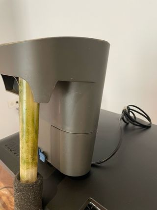 Filtro Cascada Oase BioStyle 75 acuario pecera 