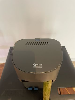 Filtro Cascada Oase BioStyle 75 acuario pecera 