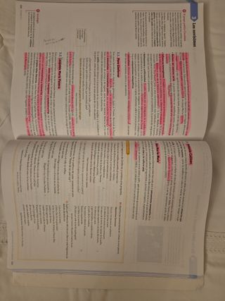 Lengua castellana y literatura 2 Bachillerato