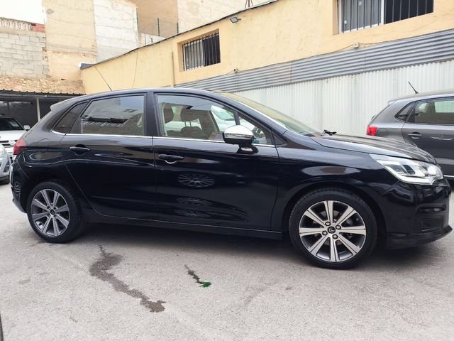 CITROEN C4 BlueHDi 120 cv AUTOMATICO