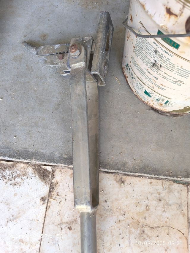 Máquina de ranas y ranas