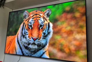 TV Samsung 65 QLED con Mando Solar