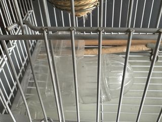 Jaula de cría para pájaros