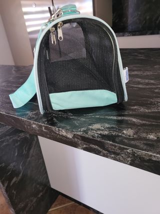 Transportín perro pequeño/bebés color turquesa