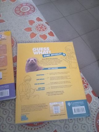 Guess What! 6 Activity book with online resources