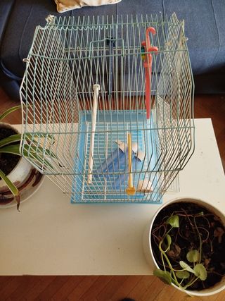 Jaula para pájaros azul y blanca