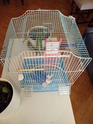 Jaula para pájaros azul y blanca