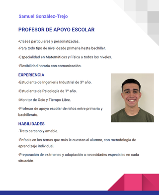Profesor de Apoyo Escolar en Madrid, pres y online