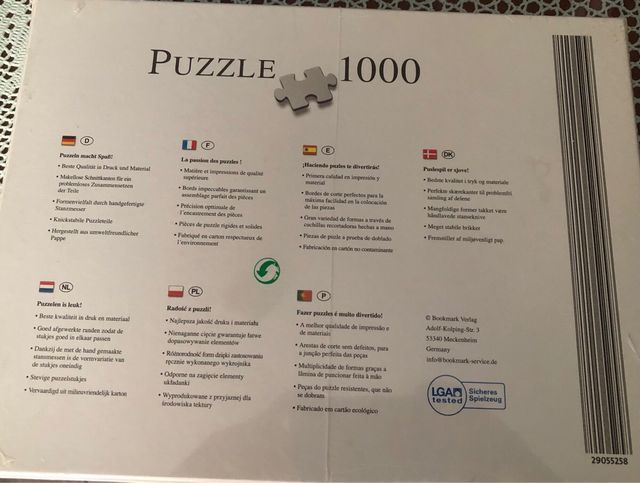 Puzzle 1000 piezas Castillo neuschwanstein