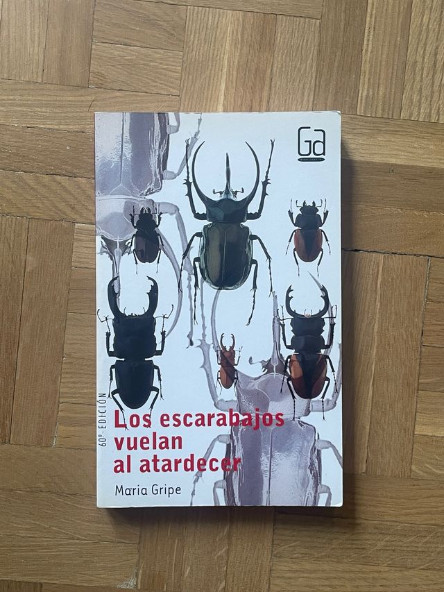 Los escarabajos vuelan al atardecer