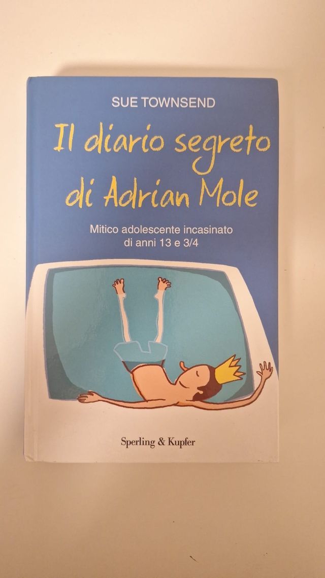 SUE TOWNSEND - DIARIO SEGRETO