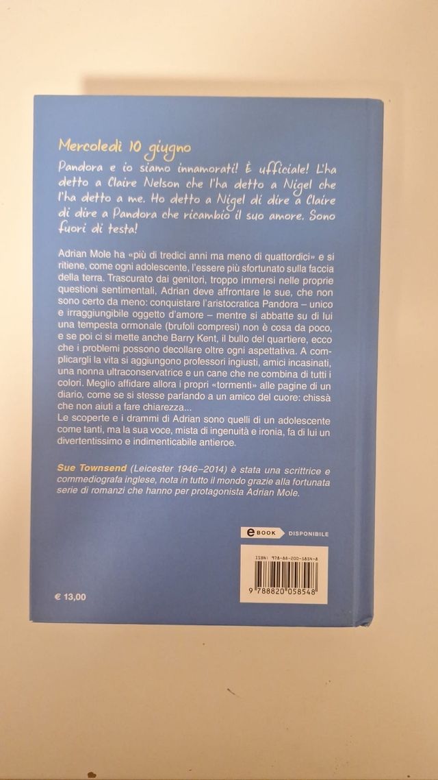 SUE TOWNSEND - DIARIO SEGRETO