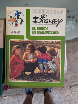 Disney 
El mundo es maravilloso 