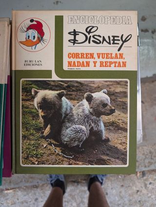 Disney Corren, vuelan reptan