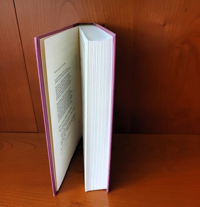 The Portable MBA in Entrepreneurship, Bygrave