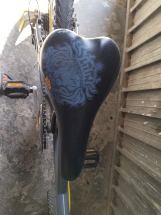 Bicicleta infantil.btwin