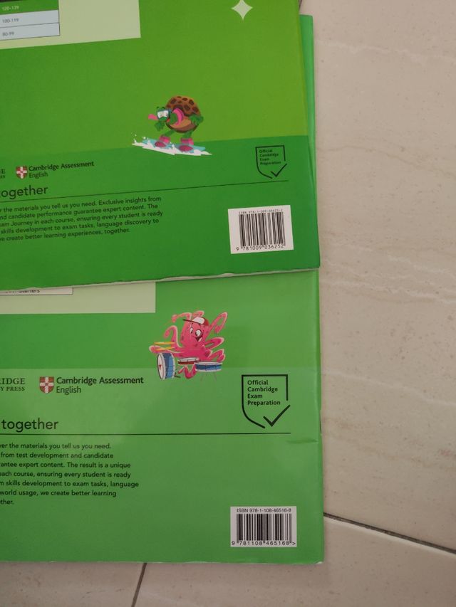 A2 Flyers 4 Student's Book without Answers with...