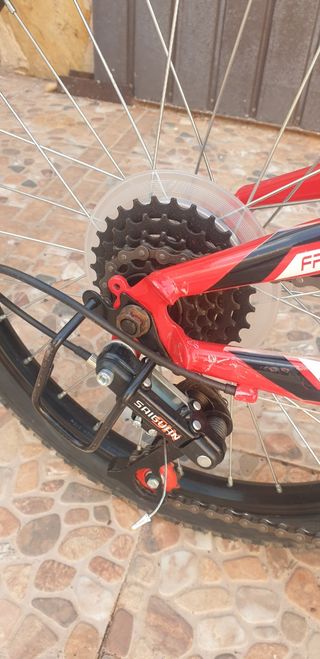 Bicicleta infantil Freerider 20