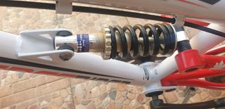 Bicicleta infantil Freerider 20