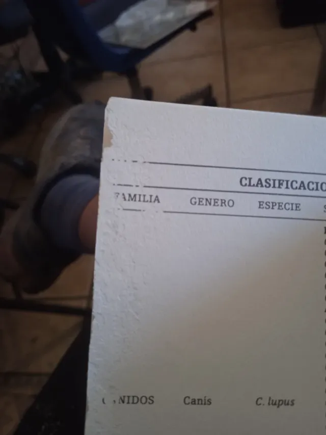 Collezione Félix Rodríguez de la Fuente