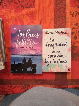 Las luces de febrero (Meses a tu lado 4)