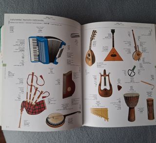 Diccionario Visual multilingue