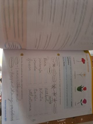 Lengua 1.