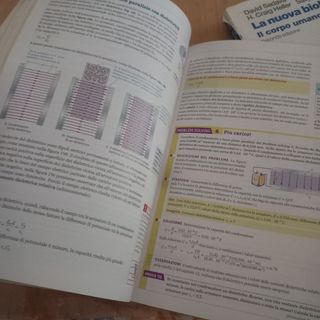 Il Walker 2 - Corso di Fisica