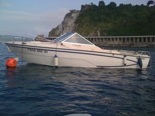 Embarcación GLASTRON 214