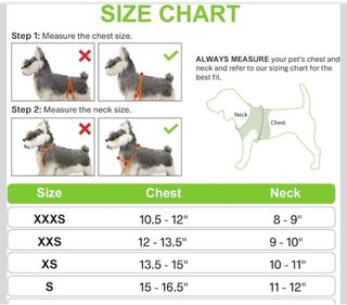 Arnés para Perro Joytale Verde