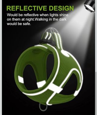 Arnés para Perro Joytale Verde