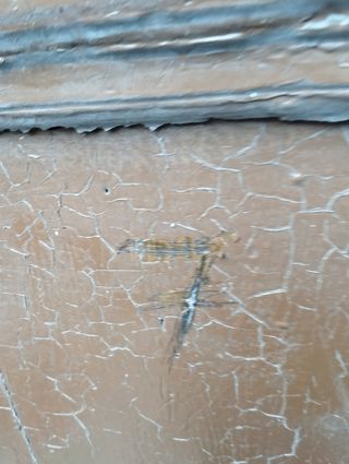 Puertas antiguas de madera