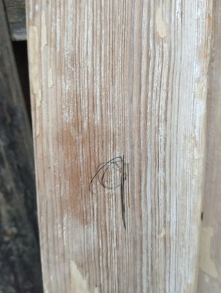 Puerta antiguas de madera