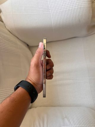 iPhone 12 Pro Max Plata