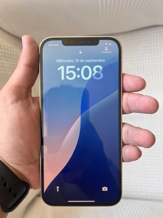 iPhone 12 Pro Max Plata