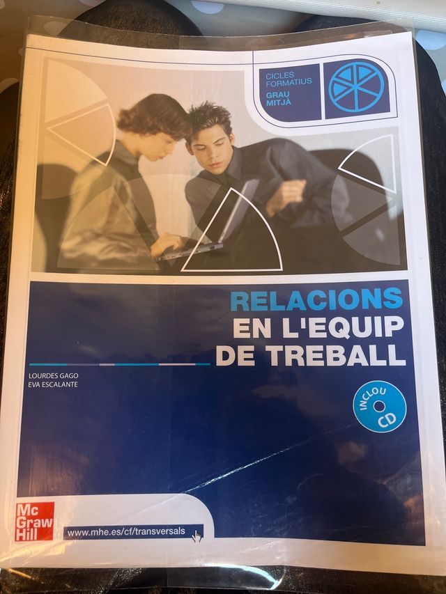 Relacions en l'equip de treball. Grau Mitja