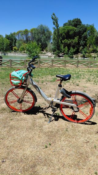 Bicicleta urbana mujer