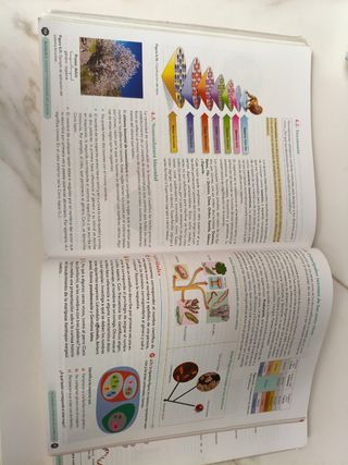 Biología, Geología y CC. Ambientales 1º Bachill...